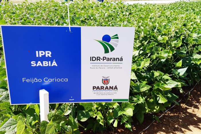 Foto: IDR-PARANÁ