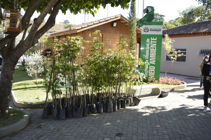 Foto: Reprodução/Prefeitura de Guaçuí - ES