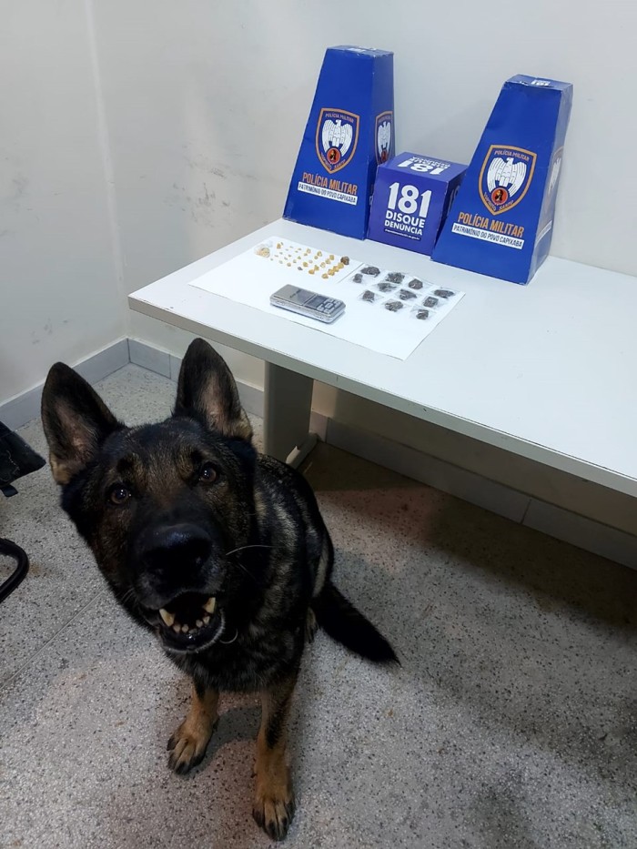 Foto: Reprodução/Polícia Militar - ES