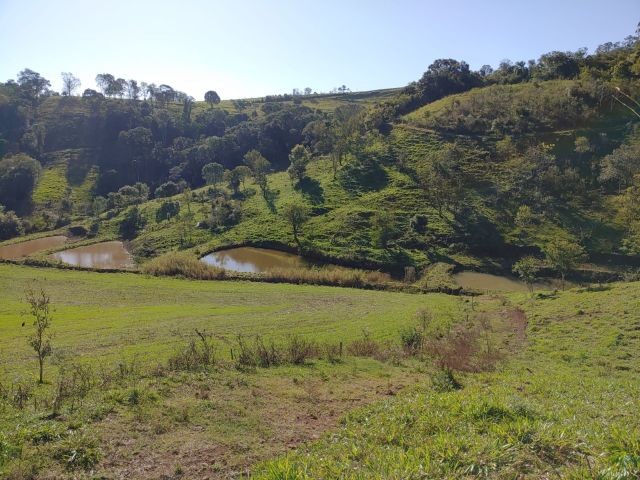 Foto: Reprodução/Secom SC