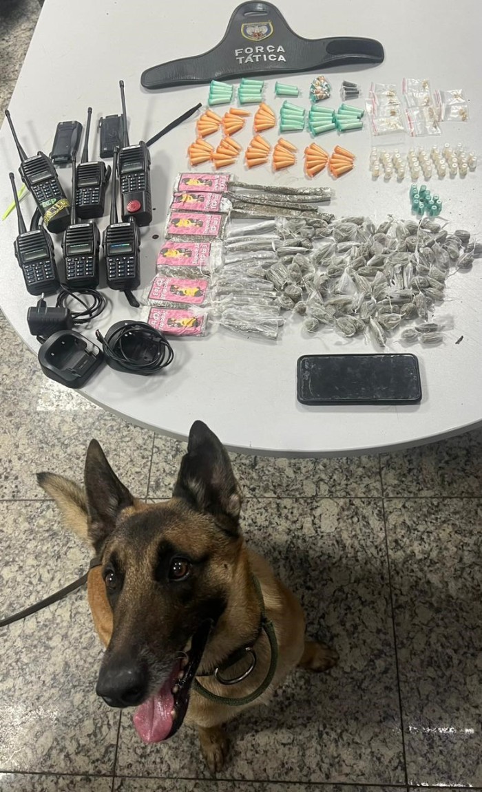 Foto: Reprodução/Polícia Militar - ES