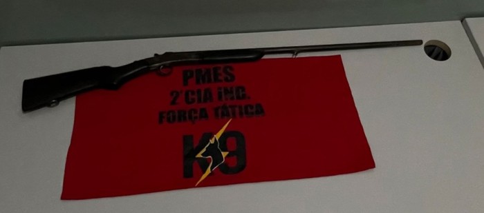 Foto: Reprodução/Polícia Militar - ES