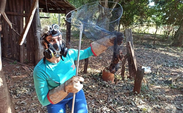 Foto: Reprodução/Secom Goiás