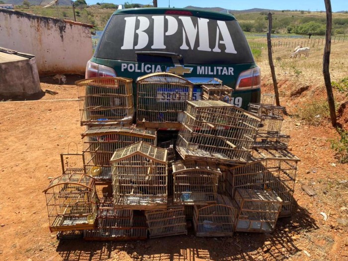 Foto: Reprodução/Secom Ceará