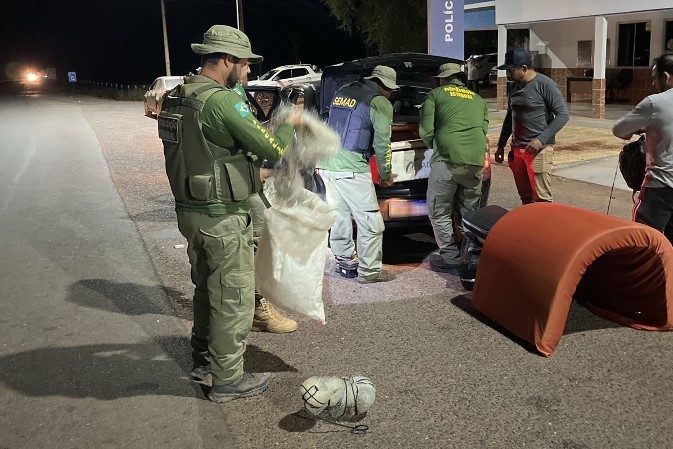 Foto: Reprodução/Secom Goiás