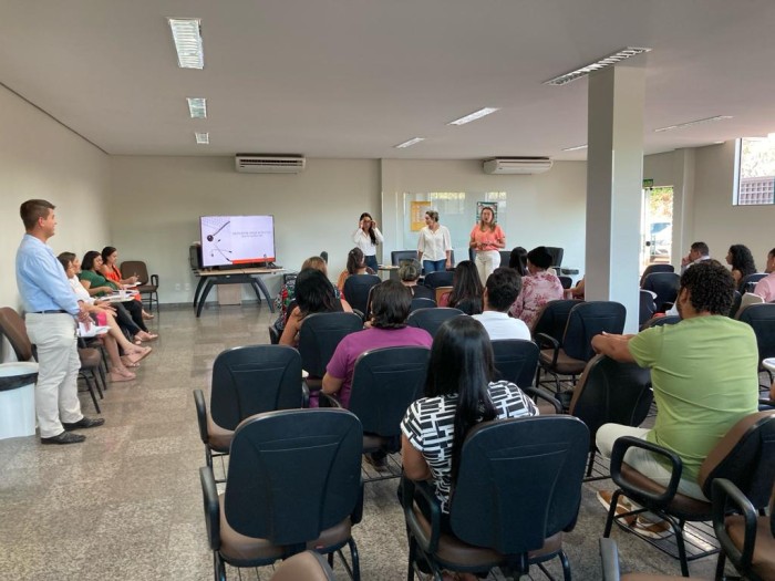 Encontro reuniu gestores em saúde da região Capim Dourado - Fotógrafo:Divulgação