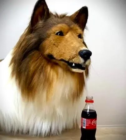 Fantasia hiper-realista é da raça collie - Foto: Reprodução