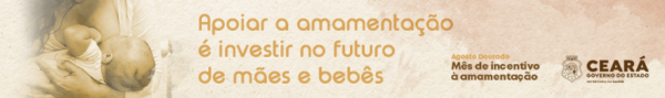 Foto: Reprodução/Secom Ceará
