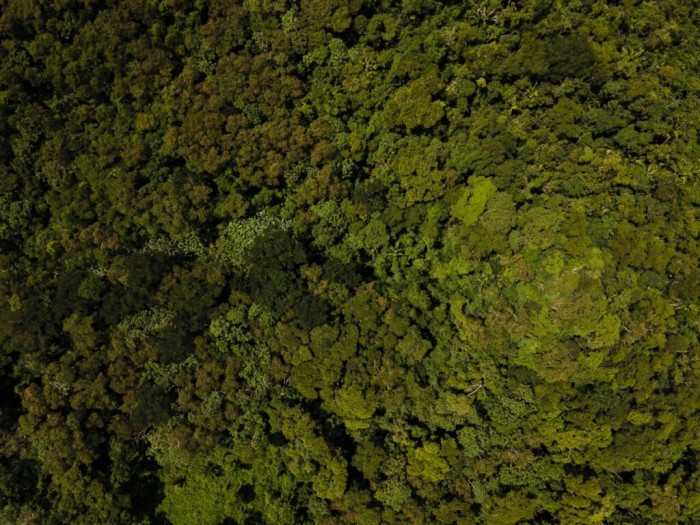 Foto: Reprodução/Secom Acre