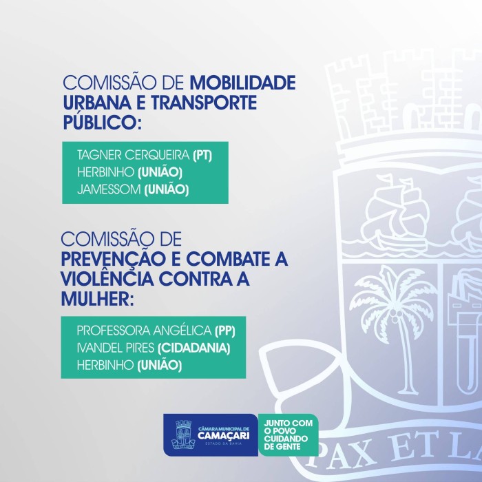Foto: Reprodução/Câmara de Camaçari - BA