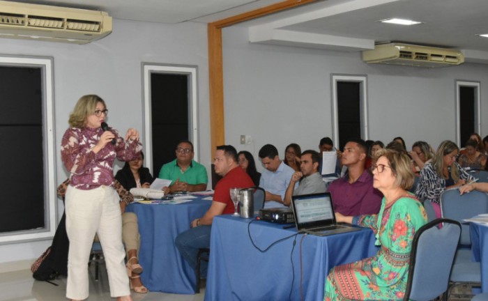 Encontro foi coordenado pela Superintendência de Gestão e Acompanhamento Estratégico da SES - Foto: Dayana Nascimento/Governo do Tocantins