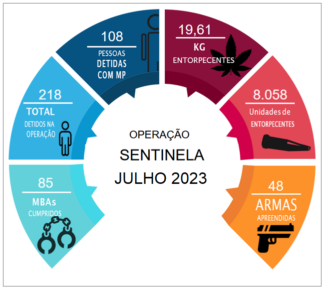 Foto: Reprodução/Polícia Militar - ES