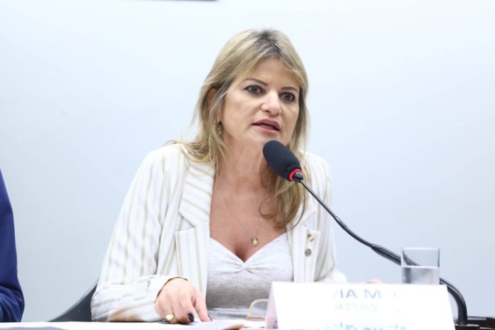 Flávia Morais apresentou o requerimento para a realização da audiência - (Foto: Bruno Spada / Câmara dos Deputados)
