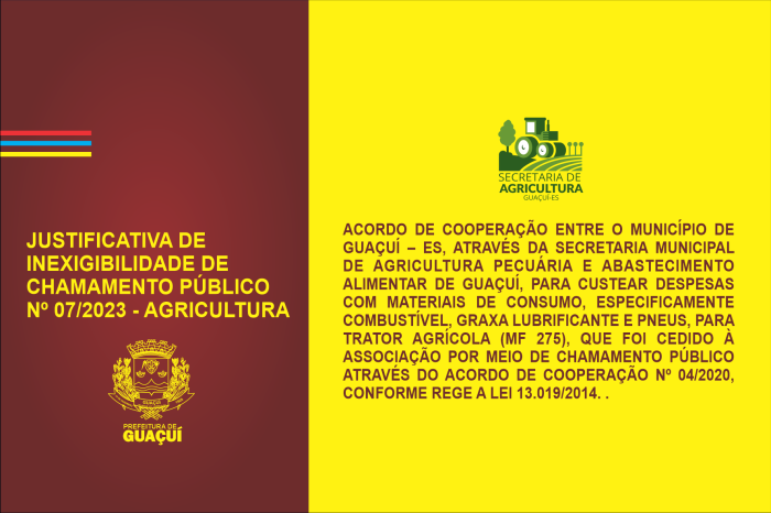 Foto: Reprodução/Prefeitura de Guaçuí - ES