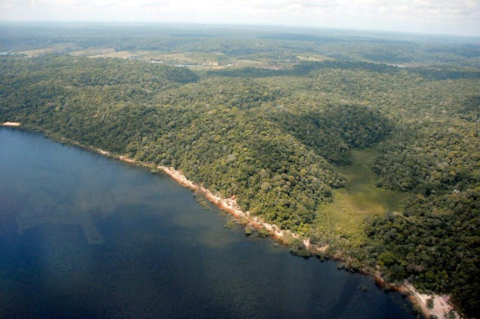 Fotos: Divulgação/Sema