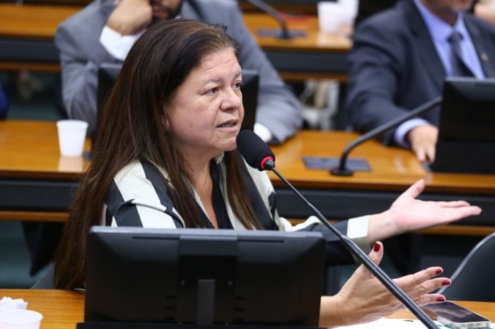Laura Carneiro: toda criança tem direito a ter o nome do pai na certidão de nascimento - (Foto: Vinicius Loures/Câmara dos Deputados)