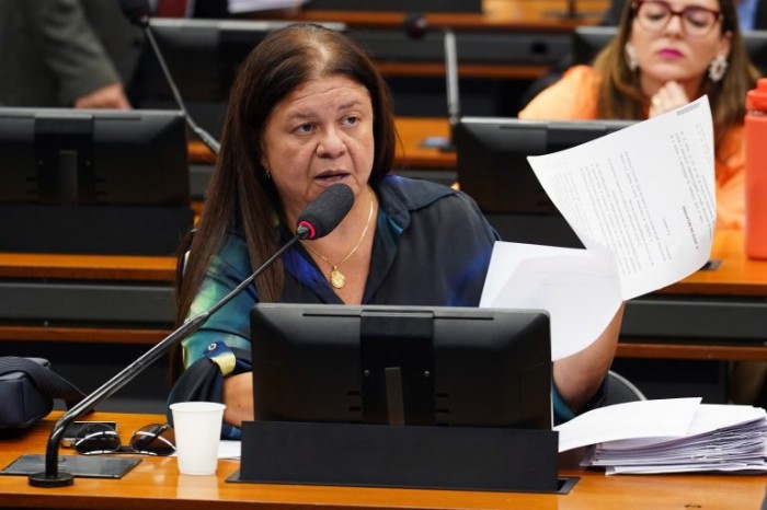 A relatora, deputada Laura Carneiro - (Foto: Pablo Valadares / Câmara dos Deputados)