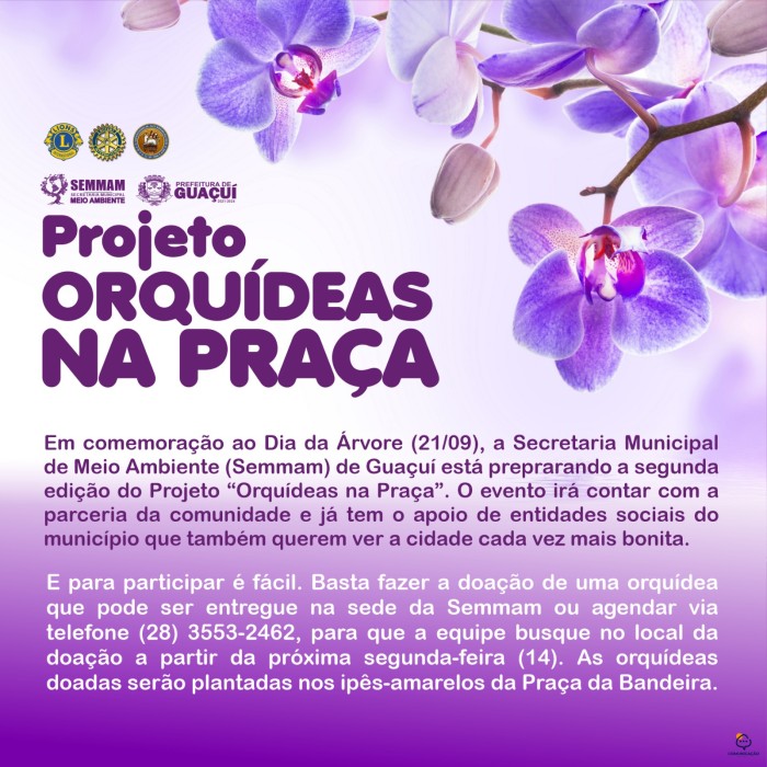 Foto: Reprodução/Prefeitura de Guaçuí - ES