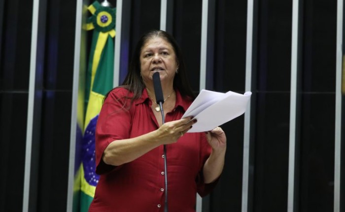 Laura Carneiro recomendou a aprovação da proposta - (Foto: Bruno Spada/Câmara dos Deputados)