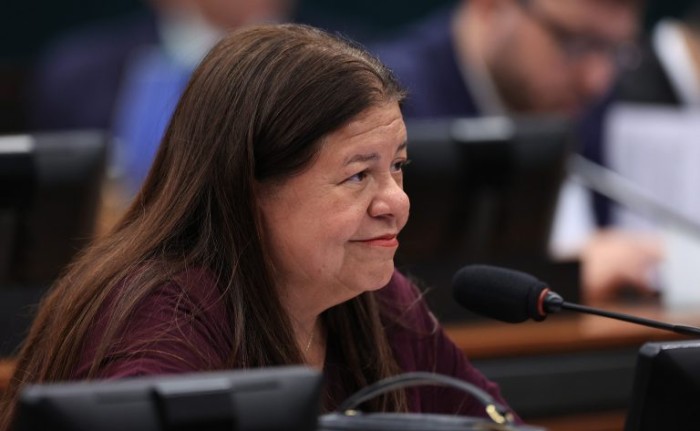 Laura Carneiro defendeu a versão aprovada pela Comissão de Viação e Transportes - (Foto: MyKe Sena/Câmara dos Deputados)