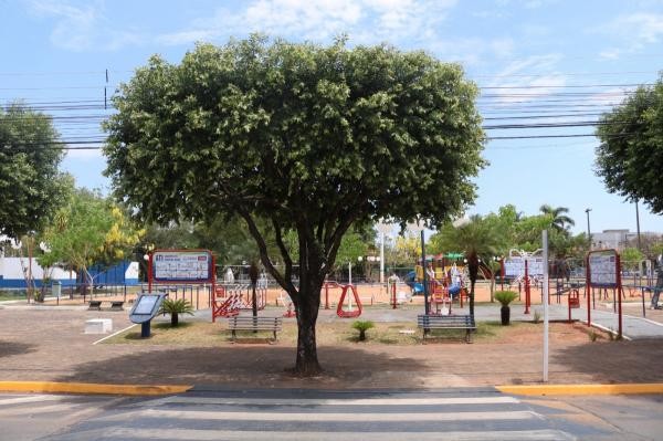 Foto: Reprodução/Câmara de Sorriso - MT