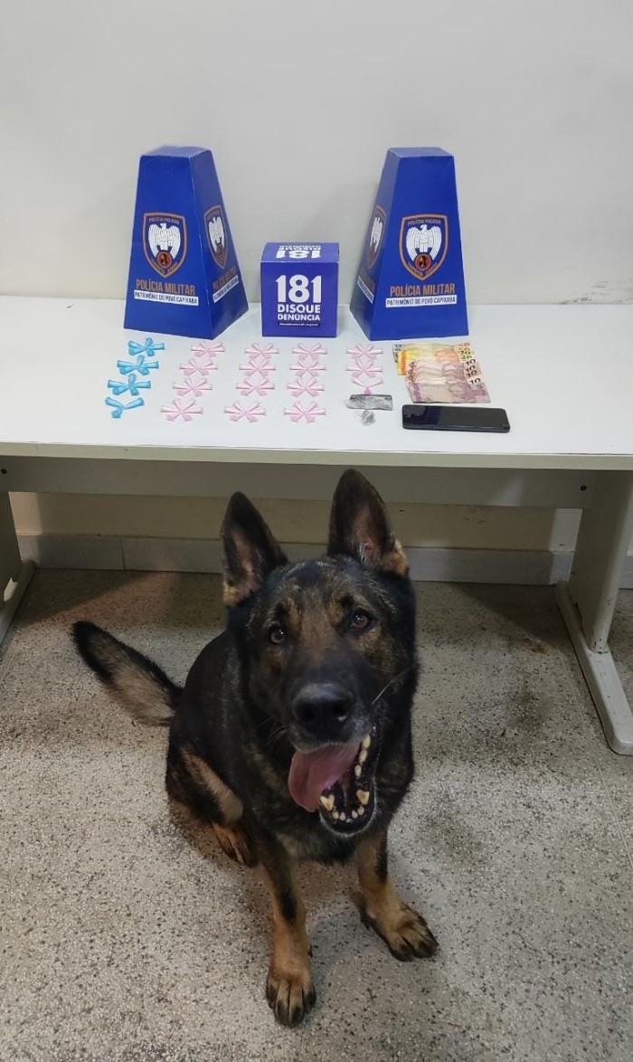 Foto: Reprodução/Polícia Militar - ES