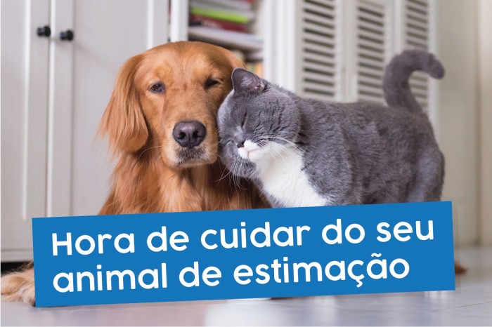 Foto: Reprodução/Ibiraçu - ES