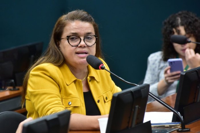 Helena Lima apresentou substitutivo na Comissão de Viação e Transportes - (Foto: Zeca Ribeiro/Câmara dos Deputados)