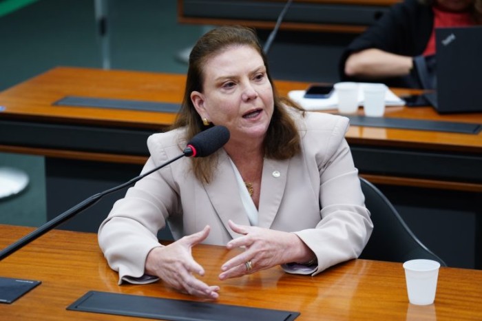 Fernanda Pessoa é a autora do requerimento para a realização da audiência - (Foto: Pablo Valadares/Câmara dos Deputados)