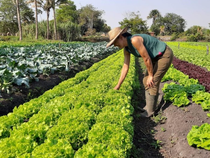 Foto: Reprodução/Prefeitura de Primavera do Leste - MT