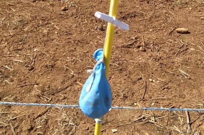 Balão onde estava a mensagem da Argentina Catiane de Almeida Avila / Divulgação