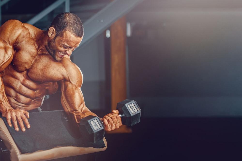 Musculação e Treinos Intensos: O Caminho para um Corpo Forte e Saudável