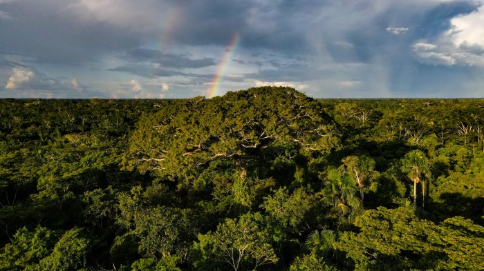 Foto: Reprodução/Secom Acre