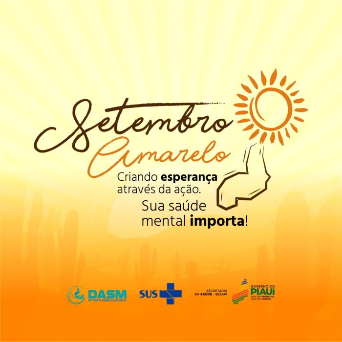 Foto: Reprodução/Secom Piauí