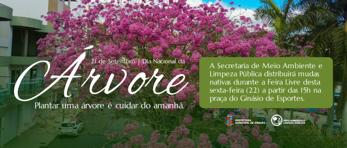 Foto: Reprodução/Prefeitura de Iúna - ES