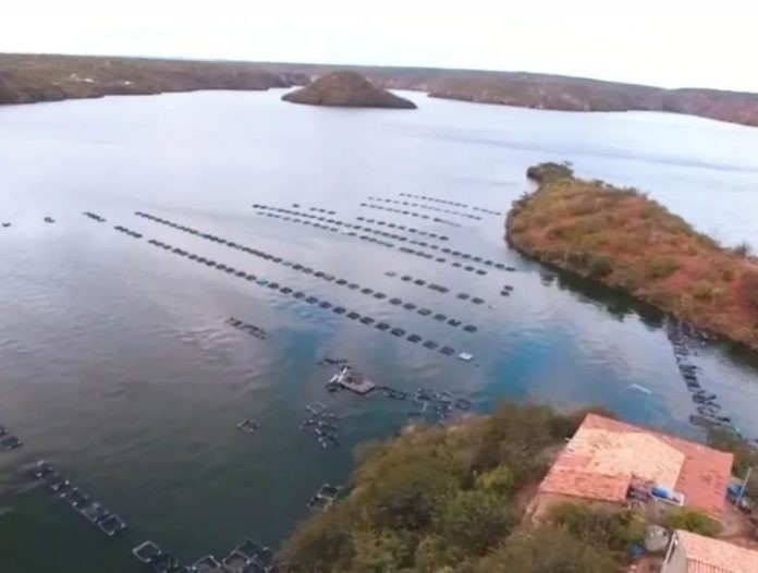 Imagem ilustrativa. Foto: Divulgação/Bahia Pesca