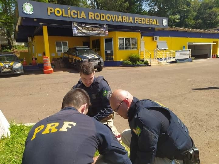 Foto: Divulgação / PRF