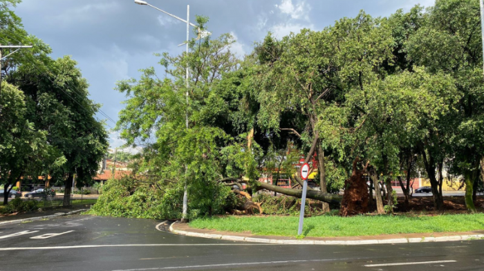 Foto: Reprodução/Prefeitura de Rio Preto - SP