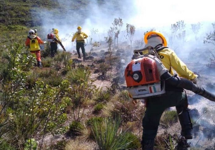Foto: Divulgação/Sema