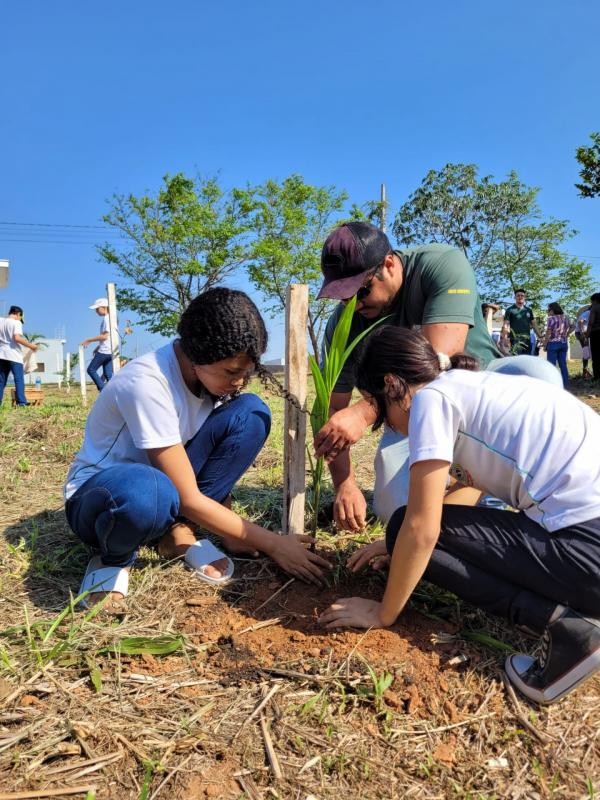 Foto: Reprodução/Prefeitura de Sorriso - MT