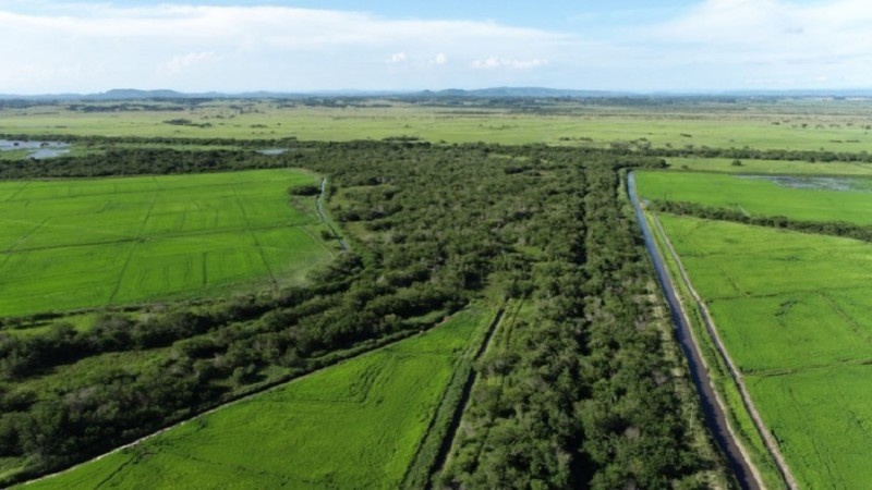 Avaliação da série histórica de monitoramento evidenciou que não está ocorrendo melhora na qualidade das águas no rio Gravataí - Foto: Arquivo Sema
