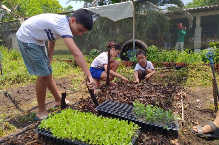 Alunos plantaram na horta os mudas de alface, couve, cebolinha e ervas medicinaisFoto: Iolete Marques - Fotógrafo:Divulgação
