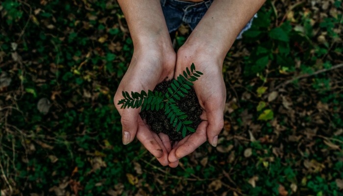 Banco de imagens - Unsplash