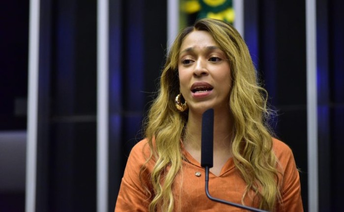 Erika Hilton é a autora do requerimento para a realização da audiência - (Foto: Zeca Ribeiro/Câmara dos Deputados)