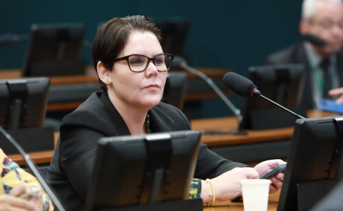 Coronel Fernanda unificou propostas no mesmo texto - (Foto: Mario Agra/Câmara dos Deputados)
