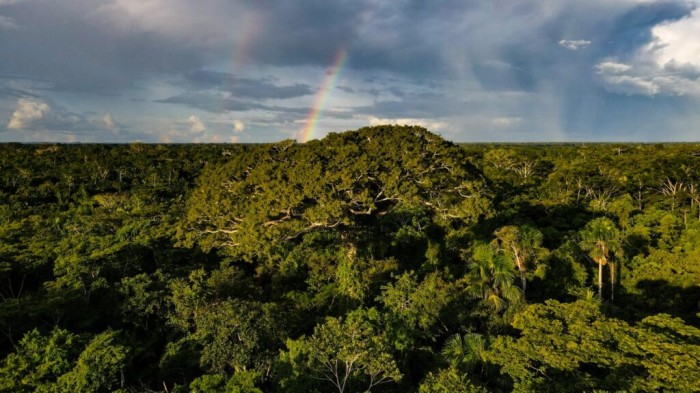 Foto: Reprodução/Secom Acre