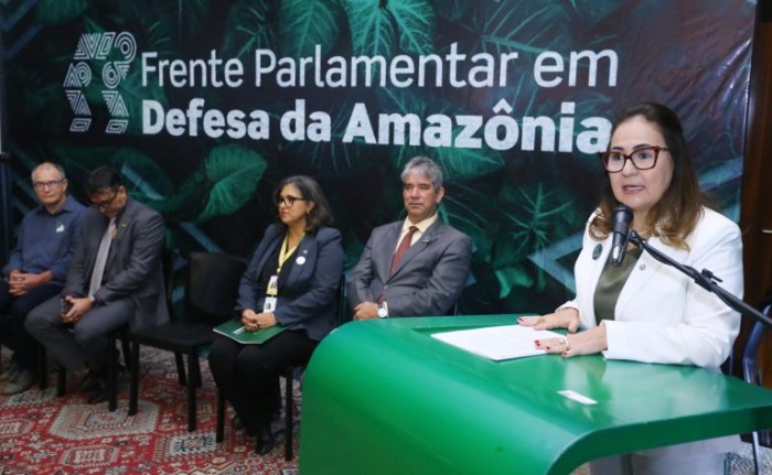 Professora Goreth é a autora  do requerimento para a realização do seminário - (Foto: Vinicius Loures/Câmara dos Deputados)