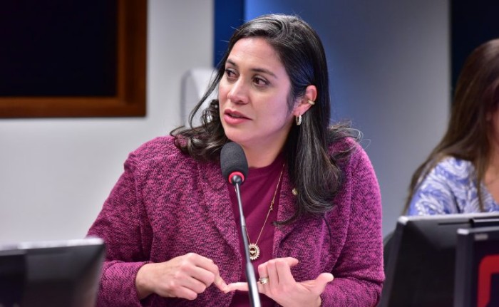 Iza Arruda é a autora do requerimento para a realização da audiência - (Foto: Zeca Ribeiro/Câmara dos Deputados)