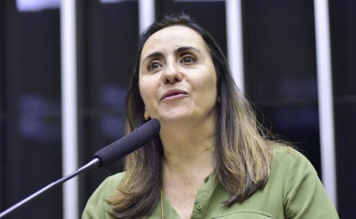 Zeca Ribeiro / Câmara dos Deputados