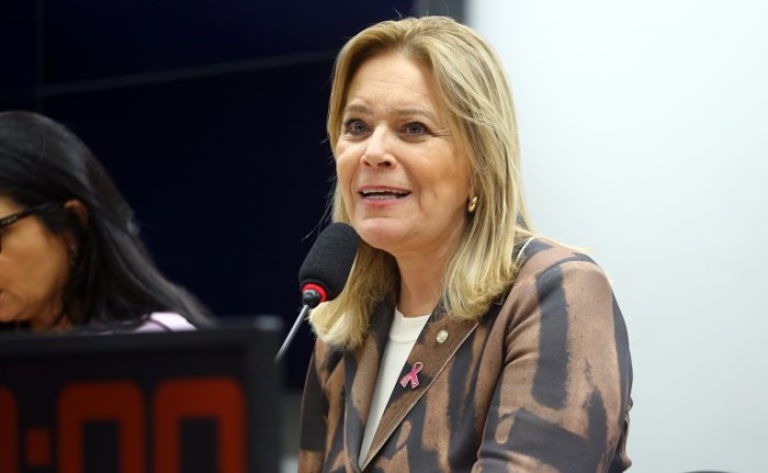 Vinicius Loures/Câmara dos Deputados